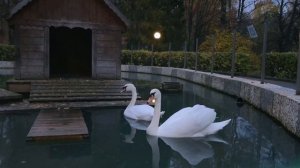 Пансионат "Солнечная поляна"