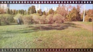 В городе тихая осень.Христианские песни.