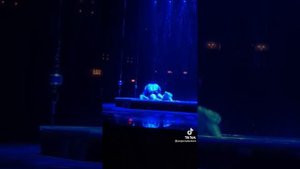 Magic mike live water dance
