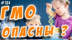 ГМО. Опасны ли ГМО продукты ?