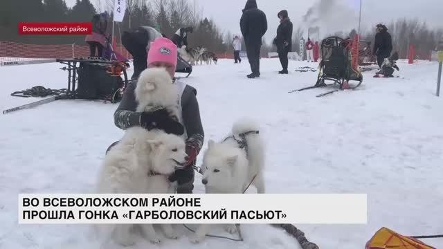 Во Всеволожском районе прошла гонка «Гарболовский пасьют»