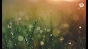 Красивое чтение суры Алиф лам мим