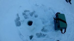 Ловля Леща зимой на покаток( на шарик) Старое Кстово