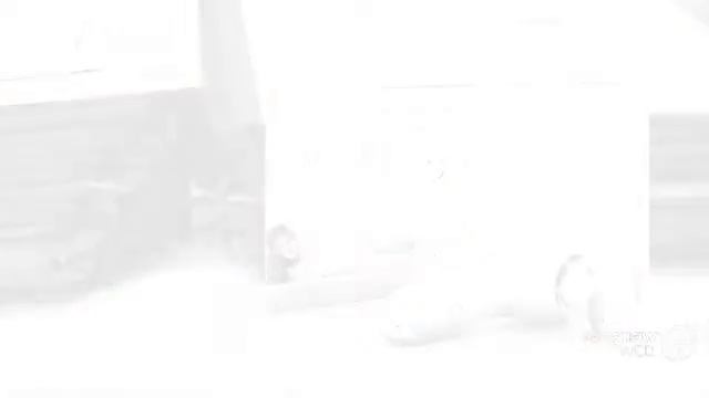 Как правильно выбрать массажер антицеллюлитный массажер?