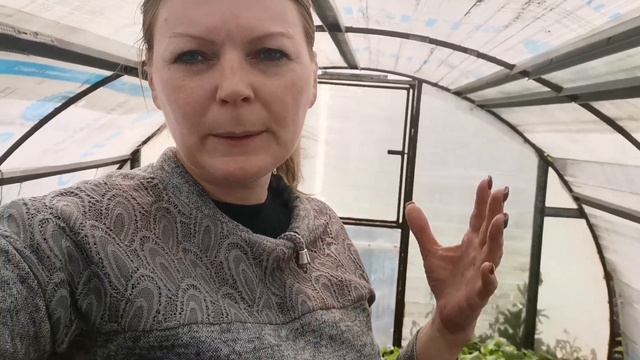 ?Купили дачу 15 серия/✅что замёрзло/✅капуста и руккола...