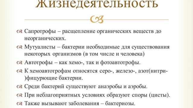Бактерии смотреть онлайн