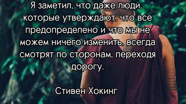 Цитаты. Высказывания великих Мыслителей