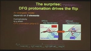 DFG motif: A Protonation Dependent Conformational Switch