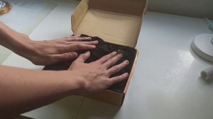 ЗИМОВКА моих муравьёв! Как я провожу зимовку?