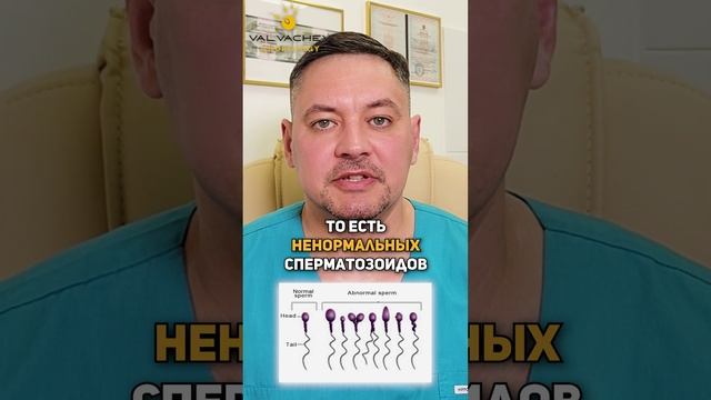 Хочу стать папой! Когда лучше?