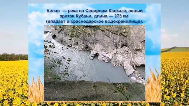 "Природа моего края"
