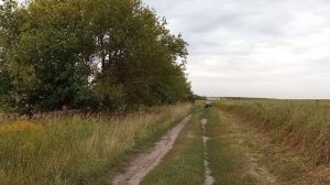 #35 Вечерний коп металла