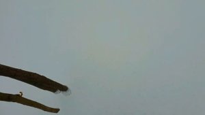 20.?МЕСЯЦ ВЫЖИВАНИЕ В лесу ЗИМОЙ БЕЗ НИЧЕГО _ ЛЕДЯНОЙ ДОЖДЬ _ ДОБЫВАНИЕ ОГНЯ, ВОДЫ И ЕДЫ _ БУШКРАФТ