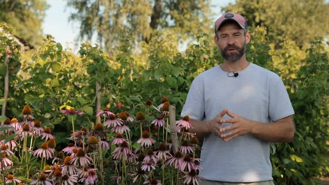 Сад и огород без химии. смотреть онлайн