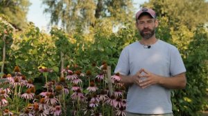 Сад и огород без химии.