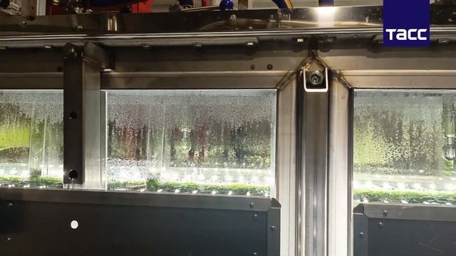 В Новосибирске разработали реактор для производства косметикиКосметику производят на основе хлорел_ смотреть онлайн