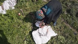 ЖИВУ У ОТШЕЛЬНИЦЫ | ДОБЫВАЮ ЕДУ | ВЫЖИВАЮ