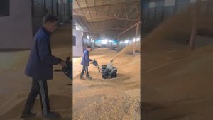 Снегоуборщик для зерна,zitrek 6.5 л/с