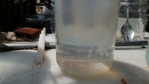 Первая Плазма, Ганс образовался уже за 20 минут. Плазменная вода, Мехрана Кеше.