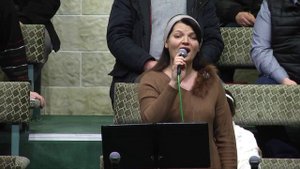 Догорают в камине дрова.. (Стих и песня)