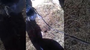 Ремонт картера мопеда Delta