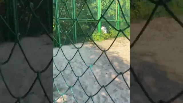 ЛАГЕРЬ|| • Как проходила наша смена в пришкольном лагере 2023: