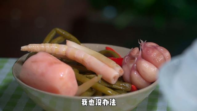 小雨買個泡菜壇，教你做正宗四川泡菜，酸香脆爽金老師吃安逸了【市民朱小雨】