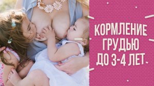 Cъели всю сисю! Нормально ли кормить грудью до 3-4 лет?