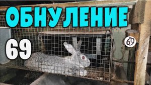 Обнуление 69