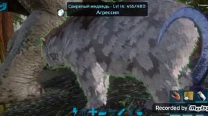 Приручение свирепого медведя! (Ark: Survival Evolved mobile)
