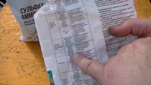Чеснок. Подкормка для увеличения головки.