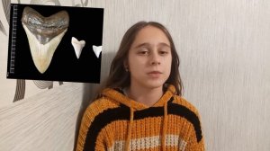 -ФАКТЫ О МЕГАЛОДОНЕ-