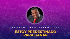 📣 Apostol Marcelino Sojo 💪 🚀 Estoy Predestinado para Ganar PARTE 01