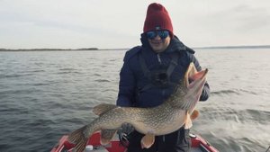 Волга. ЩУКИ и СУДАКИ на Свимбейты! Ловля крупными приманками поздней осенью