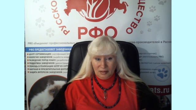 Ответы на проблемные вопросы владельцев кошек.