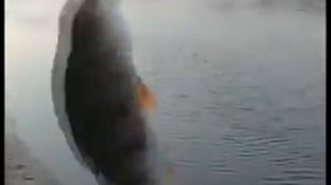 Летняя мормышка с Николаем Крекшиным.
