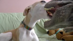 Собака Уиппет против динозавра