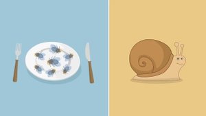 Wir haben Hunger, Hunger, Hunger - Kinderlieder zum Mitsingen | Sing Kinderlieder