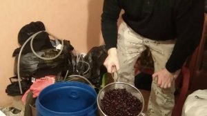 Вкуснейшая наливка из черной смородины. Тел 8 920 990 40 10 Дмитрий.