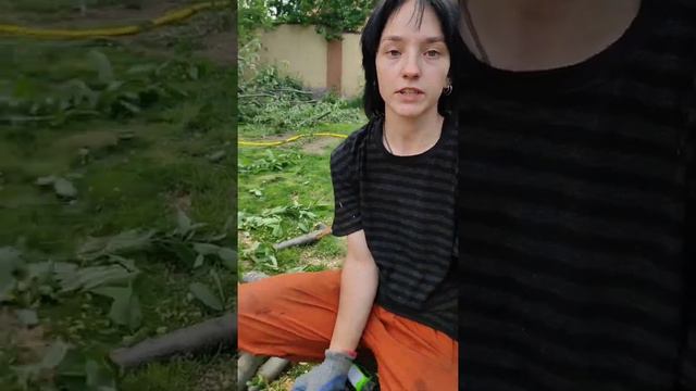 Как правильно пилить бензопилой или любой цепной пилой? Когда пилить сверху, а когда снизу.