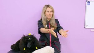 Мифы в груминге  - наш топ 6