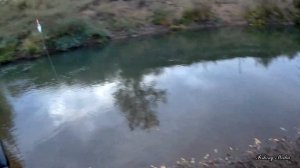 Первая рыбалка на налима осенью 2021. Налим на стукалку с берега на удочку.