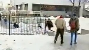 Боровиков-Воеводин