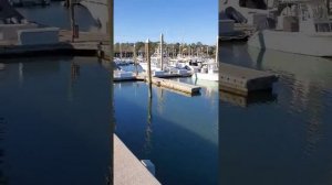 Зимняя парковка для лодок и катеров.Уилмингтон.Северная Каролина.