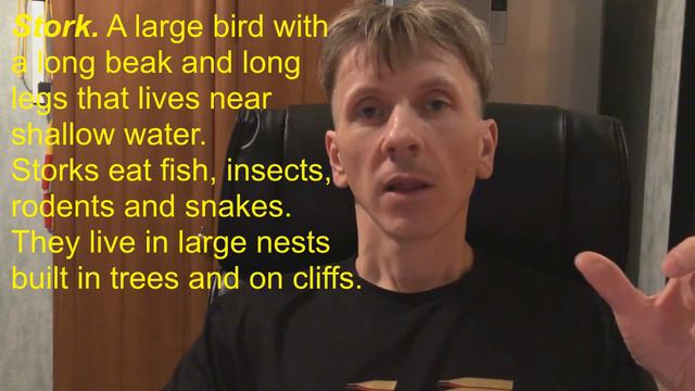1  Учимся читать STORK