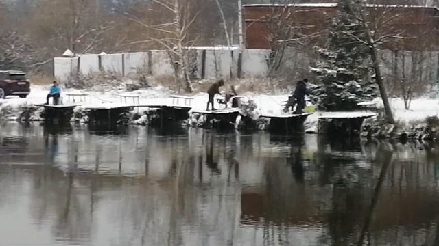 Светлые Горы Форель7 28.10.2023г. смотреть онлайн