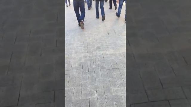 На проспекте мира НОВАЯ ОБСТАНОВКА !
