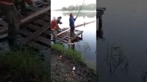 Рыбалка  на  Свиди. Архангельской обл Каргопольского района