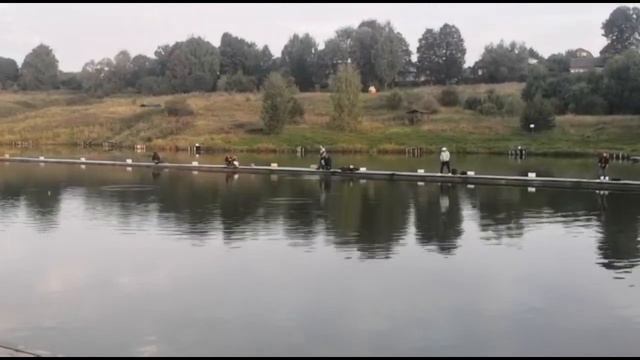 Сытый Кот смотреть онлайн