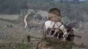 Горькая правда жизни. Евгений Воробьев. Николаев